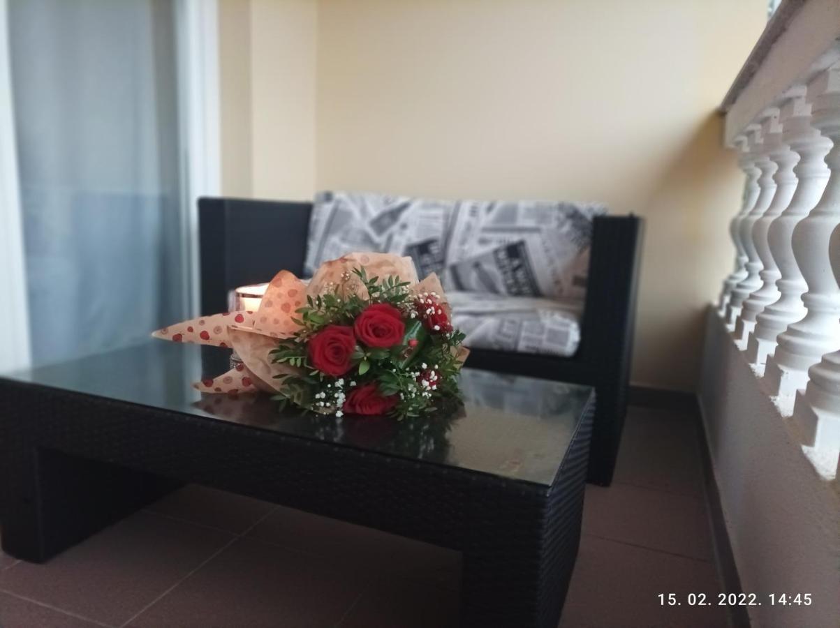 Palma Guesthouse Palit المظهر الخارجي الصورة