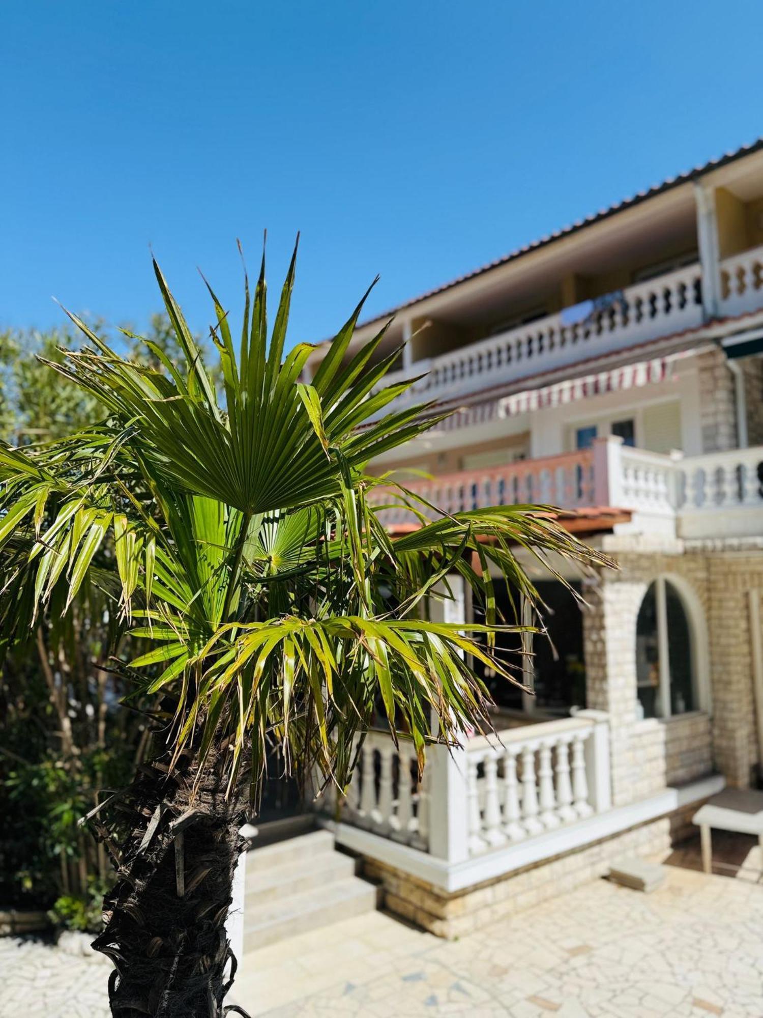 Palma Guesthouse Palit المظهر الخارجي الصورة