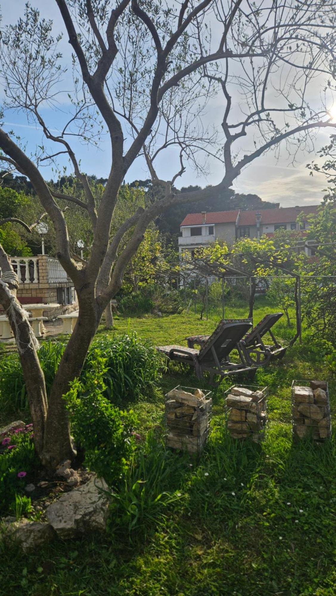 Palma Guesthouse Palit المظهر الخارجي الصورة